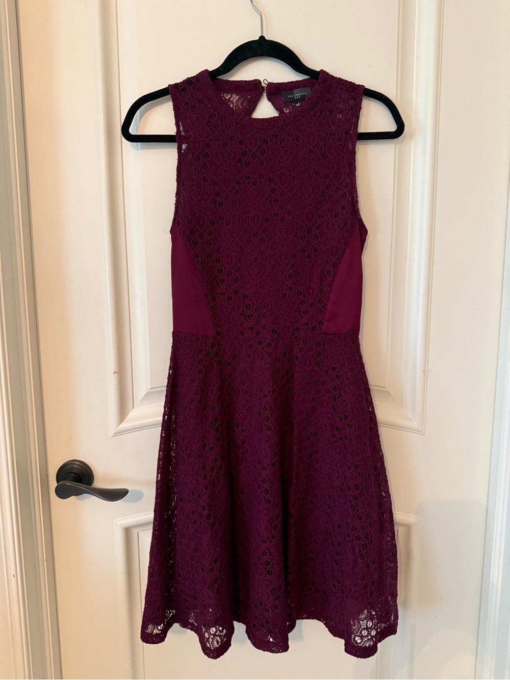 The Limited Sleeveless Lace Fit-and-Flare Dress in Wine